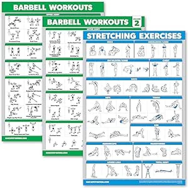 Palace Learning Barbell Workout plakātu lente 1 un 2 + stiepšanās vingrinājumu diagramma — 3 plakātu komplekts (lamināts, 18 x 24 collas) 3 pack.