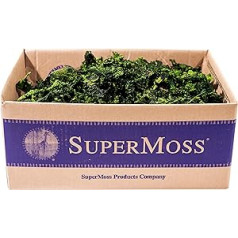 Super Moss (23707) Oak Moss Preserved Green 3 lb