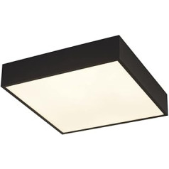 Prožektors Zeus 1 Bulb Square vannas istabas griestu lampa, melns 3000K IP44