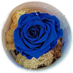 Die Ecke der Blume Rosa, stabilisiert, echt, handgefertigt, Geschenkideen für Jahrestag, Geschenk für Frauen, Geschenk Mutter, Geschenk zum Ende des Jahres (blau)