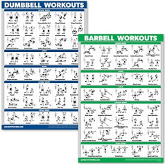 QuickFit Dumbbell Training & Barbell Exercise Poster Set - Laminated 2 Piece Chart Set