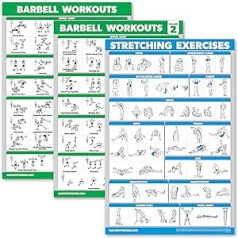 Palace Learning Barbell Workout plakātu lente 1 un 2 + stiepšanās vingrinājumu diagramma — 3 plakātu komplekts (lamināts, 18 x 24 collas) 3 pack.