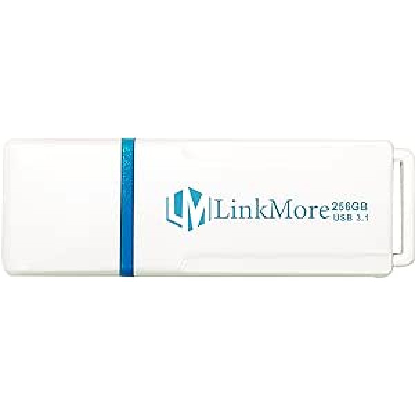 LinkMore NR34 256 GB USB 3.1 zibatmiņas disks, lasīšanas ātrums līdz 120 MB/s, rakstīšanas ātrums līdz 60 MB/s, īkšķis