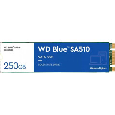 SSD mėlyna 250gb sa510 m.2 2280 wds250g3b0b