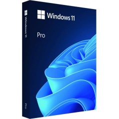 Windows pro 11 64bit eng usb zibatmiņas diska kaste hav-00163