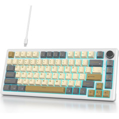 SbocKeeb V500 mehāniskā tastatūra ar pogu, amerikāņu QWERTY 75% vadu spēļu tastatūra, Seal Hot Swap, iepriekš ieeļļots balts slēdzis RGB, PC, MAC Shimmer