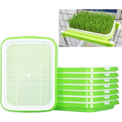 STCRERAG 5 dīgšanas paplātes, plastmasas paplāte sēklu diedzēšanai, 34 x 25 x 4 cm, plastmasas sēklu diedzētava, ļoti labi elpojošs sēklu starteris, izturīga kreses dīgšanas paplāte dažādām sēklām.
