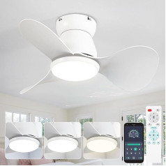 ycwdcz Mazs griestu ventilators ar apgaismojumu Klusais līdzstrāvas griestu ventilators ar tālvadības pulti 6 līmeņi, atgriezenisks, 3 lāpstiņas, 3 CCT, Mini LED lampa ar ventilatoru mazai guļamistabai, bērnu istabai