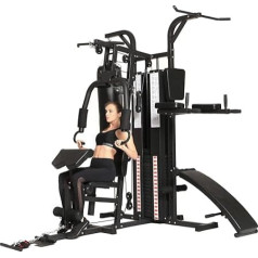 Dione HG5 fitnesa stacija, multi trenažieru zāle, spēka stacija ar perforatora maisu, ietver 65 kg atsvarus, 100 kg maksimālā pretestība