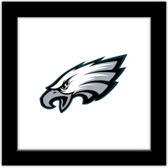 Trends International Gallery Pops NFL Philadelphia Eagles - Primary Mark Sienas mākslas stendsposters, 30,5 x 30,5 cm, melns, krāsains, melns, krāsains