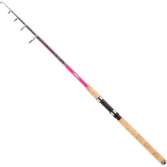 Jenzi Teleskoprute Lady Stick 20-50g