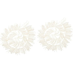 Lurrose 2 gab. mežģīnes ar pērlītēm Tassel Apģērbu bārkstīm dekoratīvie pērlītēm apdares Lace Appliqué Embellishment Apģērbu apmales šūšanas dāvanu lentes Hanfu Webbing Beaded Kaklarota kaklarota