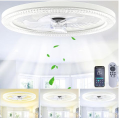 Indmird Griestu ventilators ar apgaismojumu, 50 W griestu gaisma ar ventilatoru, klusa, griestu lampa ar ventilatoru, aptumšojams griestu ventilators ar tālvadības pulti un aplikācijas taimeri guļamistabai, viesistabai, 50 cm