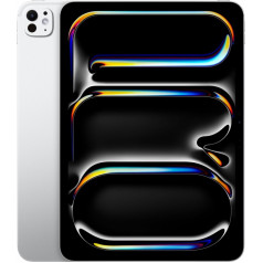 Ipad pro 11 collu wi-fi 256gb - sudrabots