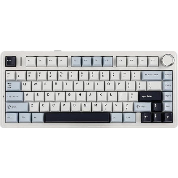 EPOMAKER x Aula F75 Gasket mehāniskā tastatūra, 75% karsti maināma spēļu tastatūra ar piecu slāņu polsterējumu un pogām, Bluetooth/Wireless/USB-C, RGB (gaiši zila, LEOBOG Reaper Switch)