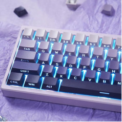 mintcaps PBT Doubleshot Keycaps 134 klavišų gradientinė violetinė apšviesta OEM profilio klavišų dangteliai Pilnas rinkinys Individualūs klaviatūros klavišų dangteliai 60 % 65 % 70 % 75 % 75 % Cherry Gateron MX jungikliai Mechaninė klaviatūra