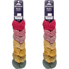 JubileeYarn Moonlight Medley dzija - Ombre DK Svara Merino vilna/akrils - 200g/virvete - Taurus - 2 bumbiņas