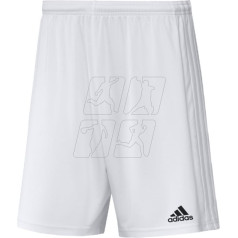 Squadra 21 Short Jauniešu Jr šorti GN5765 / 164cm