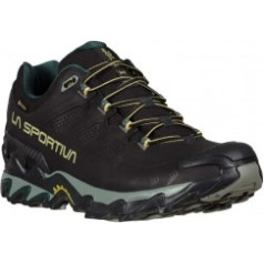 Apavi ULTRA RAPTOR II Leather GTX 42 Black/Cedar