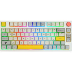 EPOMAKER TH80 Pro mehāniskā spēļu klaviatūra, 2.4GHz/Bluetooth, 75% Hotswap ar RGB PBT taustiņiem WIN/MAC/PS4/PS5/Xbox (Theory, Gateron Pro Black)