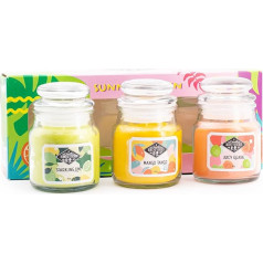 Candle-Brothers aromātisko sveču komplekts stiklā ar vāku | Sunny Garden | 3 aromātiskās sveces kā dāvanu komplekts | Mazās aromātiskās sveces (Mango, Guava un Laima) | Dāvanu komplekts Mātes dienai