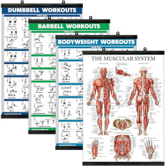 Palace Learning 4 Pack - hanteļu apmācība + stieņa treniņš + ķermeņa svara treniņi + muskuļi - 4 treniņu diagrammu komplekts (18 