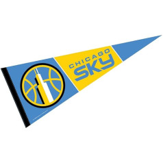 WinCraft Chicago Sky Bunting Banner