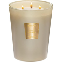 M&SENSE Apple Cinnamon Scented Candle Liela 3 daktu dabīgā sojas vaska svece mājoklim Ziemassvētku sveces Dāvana ziemas brīvdienām 150 stundu ilgs mūžs, lēni degoša 990 g