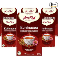 YOGI TEA Echinacea, ājurvēdas organiskā garšvielu tēja, bez kofeīna, ar Rooibos un austrumu garšvielām, 6 x 17 maisiņi (kopā 102 tējas maisiņi)