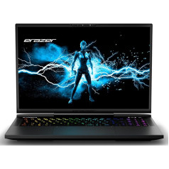 ERAZER Beast X40 43,2 cm (17 collu, 240 Hz) QHD+ spēļu klēpjdators (Intel Core i9-14900HX, 32 GB DDR5 RAM, 2 TB SSD, GeForce RTX 4090 16 GB GDDR6, Win 11 Home)