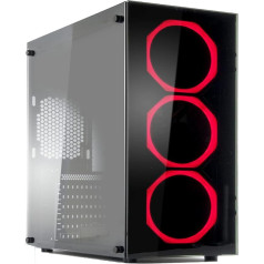 Galda dators Gaming Quad Core AMD A10 7860 K 4.0 GHz AMD Radeon R7/Programmatūra Windows 10 Professional/WiFi/650 Watt Modular/RAM 8 GB 1600 MHz/HD 1TB SATA III/Monitors LED 22/Klaviatūra un pele LED/Komplekts