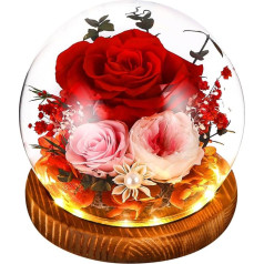 SOBEAU Mūžīgā roze stiklā ar gaismu, bezgalības stikla roze sievietēm, saglabātas rozes ziedu gaismas LED sievietēm māmiņai Ziemassvētki Valentīna diena Dzimšanas diena Jubilejas dāvanas