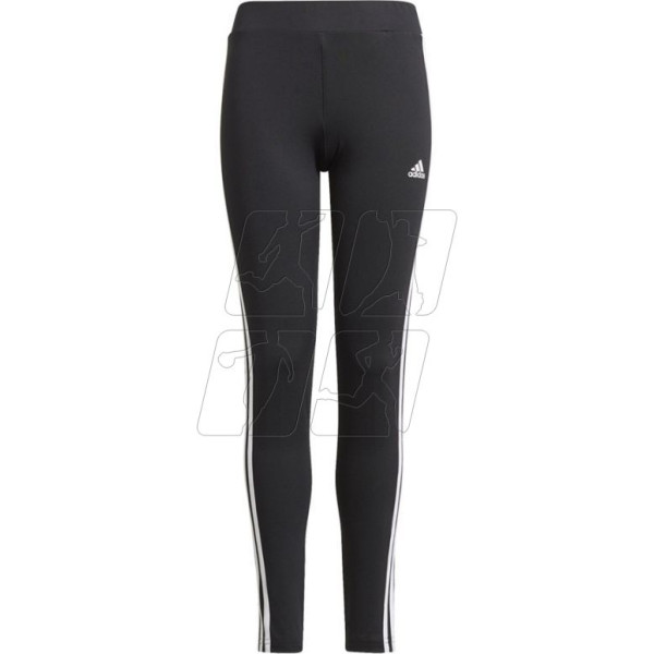 Legingi D2M 3 Stripes Tight Jr GN1453 / 140 cm