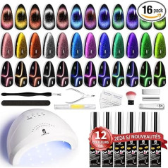 Clara Colors Gel Nail Polish Set, 12 krāsu gliteru 9D hameleons Cat Eye Gēla nagu lakas komplekts ar magnētu vieglu bāzi un virsējo pārklājumu Magnētiskais nagu lakas starta komplekts Nail Art DIY