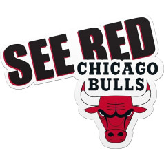 FOCO Chicago Bulls Magnēts ar saukli