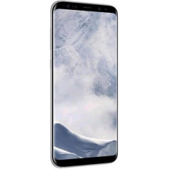 Samsung Galaxy S8+, 64 GB