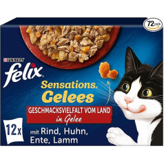 Felix Sensations Jelly Wet Cat Food, 4 vai 6 iepakojumi, dažādu garšu, 4 vai 6 gab.