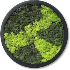 comforder Round Wall Picture with Real Moss (Diameter 38 cm), Preserved Moss Picture with Wooden Frame, Natural Wall Decoration for Living Room