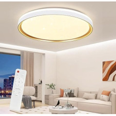 ZMH Griestu gaisma LED griestu gaisma Guļamistabas lampas Dzīvojamā istabas lampas Dimmable ar tālvadības pulti Diametrs 40 cm Guļamistabas lampa 21 W Dzīvojamās istabas griestu apgaismojums Modernā virtuves lampa Apaļa priekšnama lampa priekš