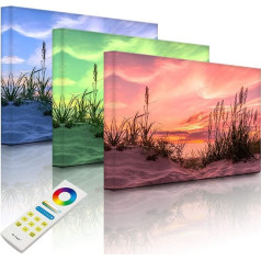 lightbox-multicolor.com Mākslas audekls ar LED apgaismojumu - zāle pludmalē saulrieta laikā - 100 x 70 cm - pilnībā izgaismots