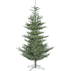 Vickerman Alberta egle, polietilēna PVC, zaļa, 6''