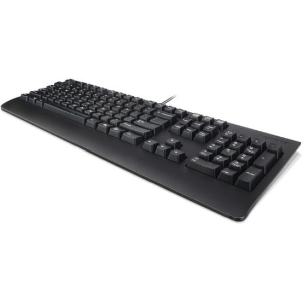 Tastatūra usb preferred pro melna us angļu ar eiro simbolu (103p) 4x30m86918