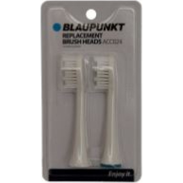 Blaupunkt ACC024