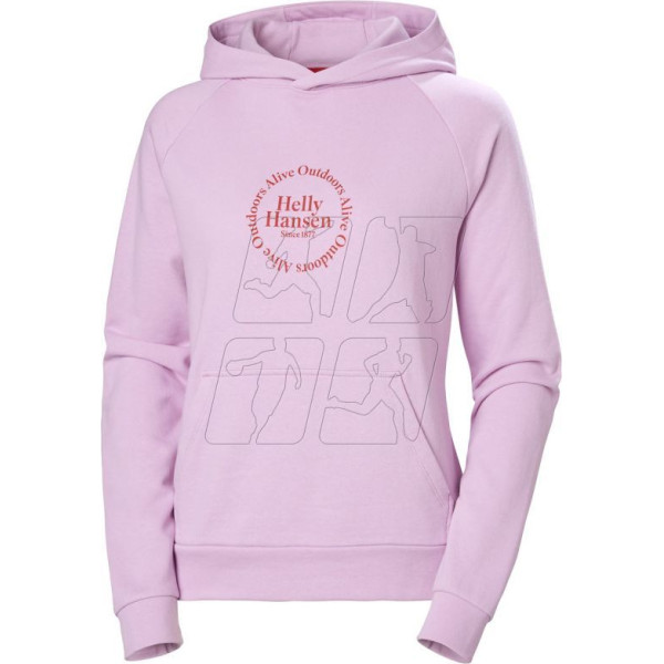 Svīteris Core Graphic Hoodie W 54239 052 / XS