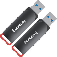 USB atmiņas karte F309 256GBx2