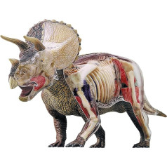 EXPLORA - Triceratops - Paläontologie - 546093 - Realistisches Modell aus 36 Teilen - Montageanleitung und Bildungsquiz - Dinosaurier - Entdeckungsset - Kinderspiel - Wissenschaftlich - Ab 8 Jahren