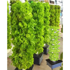 PTSZNGS Aquaponischer Anbau, Tornis-Aeroponic-Anbauset für Kräuter, Obst und Gemüse, 45-Loch-Hydrokulturturm mit Trinkpumpe, Adapter, Netztopf