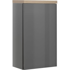Composad PN4093K84104 Vannas istabas sienas skapītis, koka materiāls, pelēks, (DxAxP): 39.6x66.8x22 cm