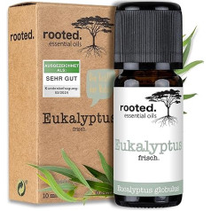 Eikalipta eļļa [100% dabīga, tīra] - Eikalipts - Eucalyptus Globulus aromterapijai, eļļas degļiem, difuzoriem, telpu smaržām, aromātiskām svecēm un ziepēm (10 ml)