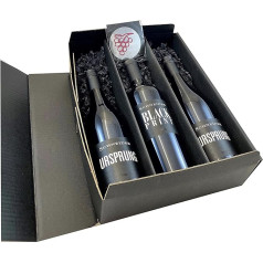 Geschenkset Rotwein von Markus Schneider | 2 Fl. Ursprung | 1 Fl. Black Print | Weingut Markus Schneider | Pfalz | 1 Weinausgießer Drop Stop fabelhafte-geschenke in hochwertiger Geschenkverpackung